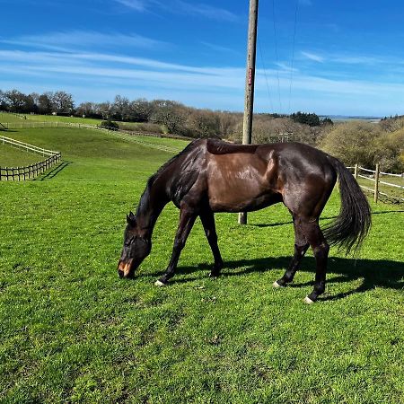Byre - Farm Cottage On 9 Acre Equestrian Small Holding Salisbury Extérieur photo