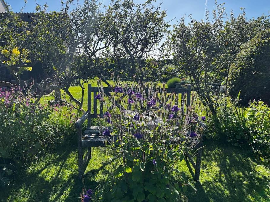 Byre - Farm Cottage On 9 Acre Equestrian Small Holding Salisbury Extérieur photo