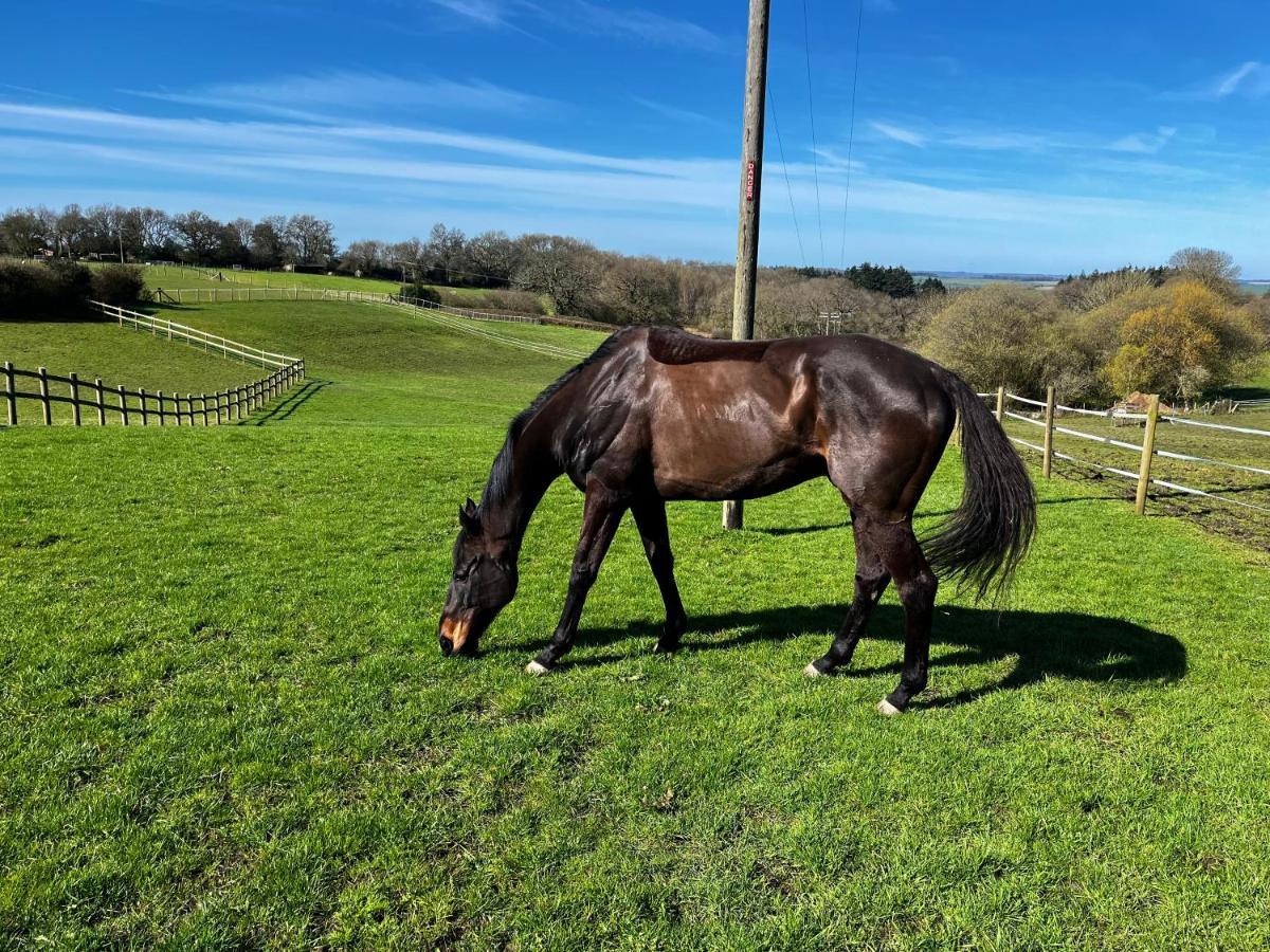 Byre - Farm Cottage On 9 Acre Equestrian Small Holding Salisbury Extérieur photo